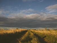 Bear Lake Family Beach