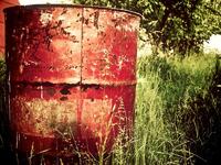 Emmett Cherry Picking Farm